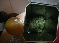 na zdjęciu: zabezpieczona przez policjantów marihuana