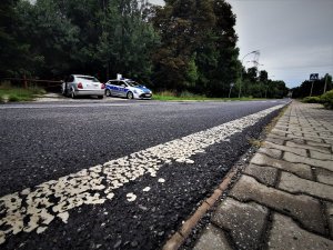 zdjęcie ulicy Łaziskiej, zbliżenie na asfalt, w tle policyjny radiowóz