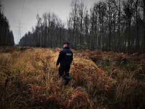 umundurowany policjant stoi na środku leśnej polany