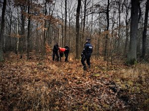 las, umundurowani policjanci prowadzą zatrzymanego mężczyznę