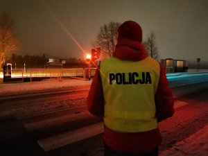 stojący tyłem policjant w odblaskowej kamizelce z napisem Policja, w tle przejście dla pieszych