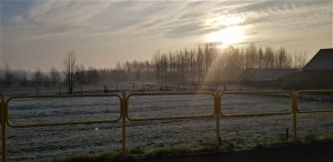 zaśnieżone, pokryte śniegiem pole, przed dnim żółte barierki