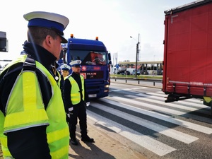 policjanci stoją przy przejściu dla pieszych. W tle jadące samochody