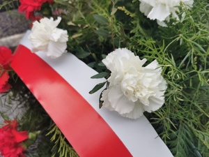 zbliżenie na wstążkę w barwach flagi Polski, obok kwiaty