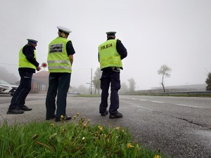 policjanci drogówki oraz funkcjonariuszka transportu drogowego stoją przy trasie i kontrolują pojazdy