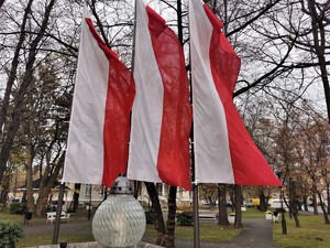 trzy flagi państwowe, które powiewają przy Pomniku Ofiar Fasyzmu w Mikołowie