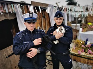 na zdjęciu widać dwóch policjantów, jeden z ruchu drogowego, drugi patrolowiec. Mundurowi trzymają na rękach owieczkę i królika