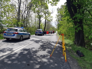 droga wojewódzka, trasa między Wyrami a Mikołowem, po lewej stronie stoją samochody Policji, dalej wozy straży pożarnej