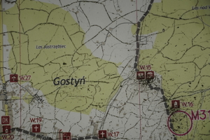 mapa Gostyni