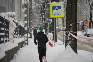 uczestnicy biegu w trakcie imprezy sportowej na ulicy Żwirki i Wigury w Mikołowie