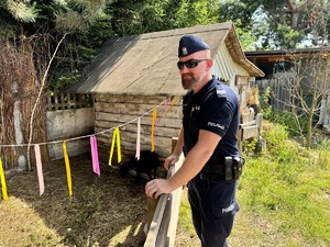 na zdjeciu widać policjanta przy zagrodzie