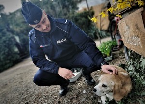 na zdjęciu widać policjanta i psa