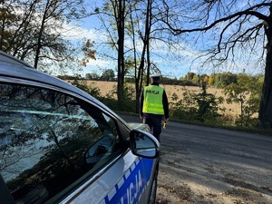 na zdjeciu widać policjanta i radiowóz