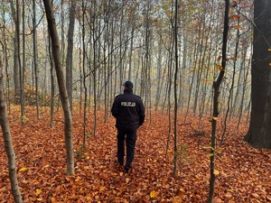 na zdjęciu widać policjanta w lesie