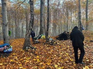 na zdjęciu widać policjanta w lesie