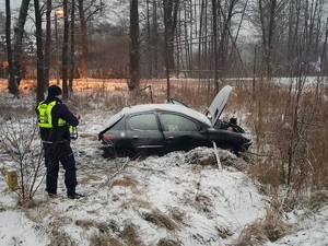 na zdjęciu widać samochód w krzakach i policjanta