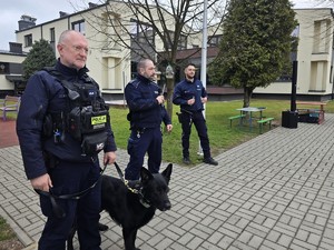 na zdjęciu widać policjantów i psa