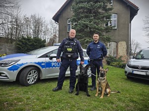 na zdjęciu widać policjantów, psy i radiowóz