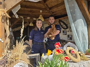 na zdjęciu widać policjantów z królikiem