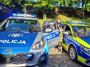 na zdjęciu widać radiowozy