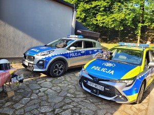 na zdjęciu widać radiowozy