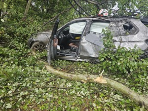 na zdjęciu widać samochód w krzakach