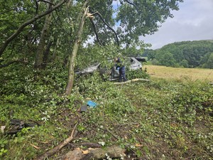 na zdjęciu widać samochód w krzakach