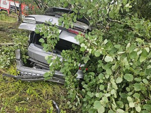 na zdjęciu widać samochód w krzakach