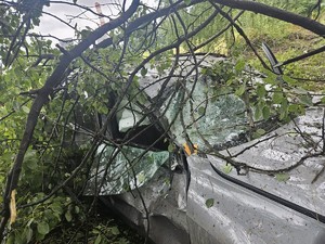 na zdjęciu widać samochód w krzakach