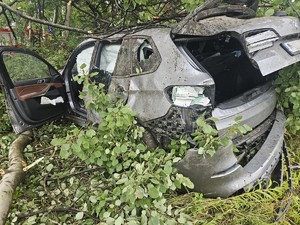 na zdjęciu widać samochód w krzakach
