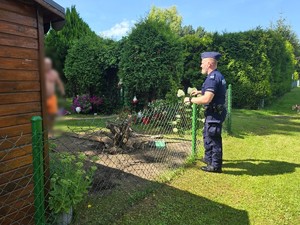 na zdjeciu widać policjanta na ogródkach