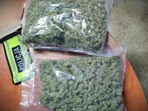 na zdjeciu widać susz