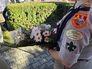 na zdjeciu widać kwiaty