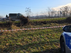 na zdjeciu widać służby