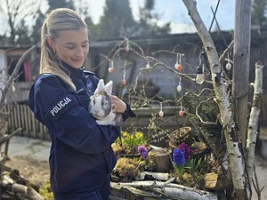 na zdjeciu widać policjantkę z królikiem