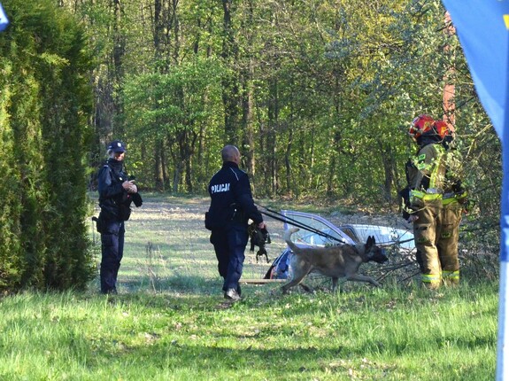 na zdjęciu widać policjantów