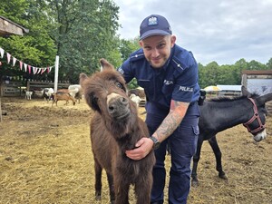 na zdjęciu widać policjanta i zwierzę
