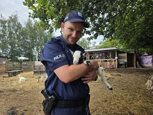 na zdjęciu widać policjanta i zwierzę