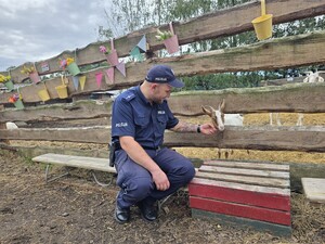 na zdjęciu widać policjanta i zwierzę