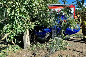 na zdjęciu widać zniszczony samochód na drzewie