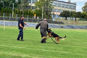 na zdjęciu widać policjantów i psy