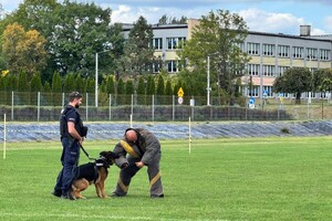 na zdjęciu widać policjantów i psa