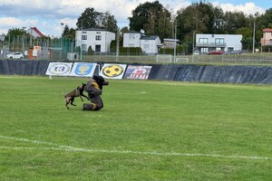 na zdjęciu widać policjanta i psa